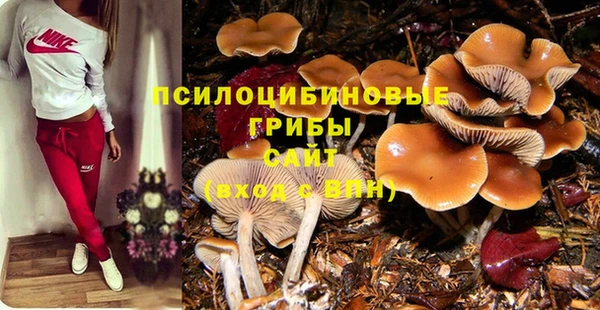 дживик Балахна